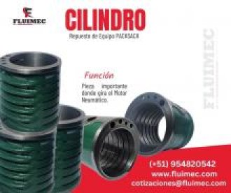  CILINDRO REPUESTO DE EQUIPO PACKSACK FL-50
